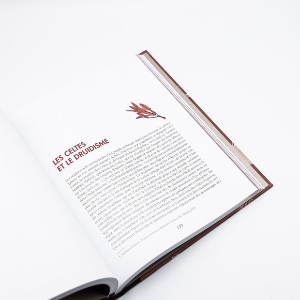 Livre ma bible du chamanisme